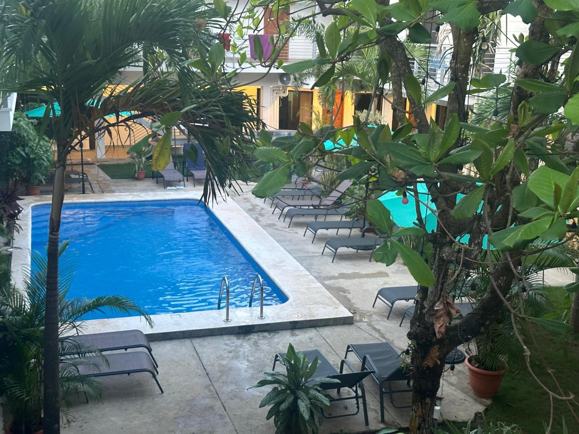 Private Fully Furnished Home At Wide Mouth Frog Hostel Quepos Esterno foto